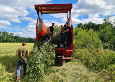 2025 Zelt schmücken (2)